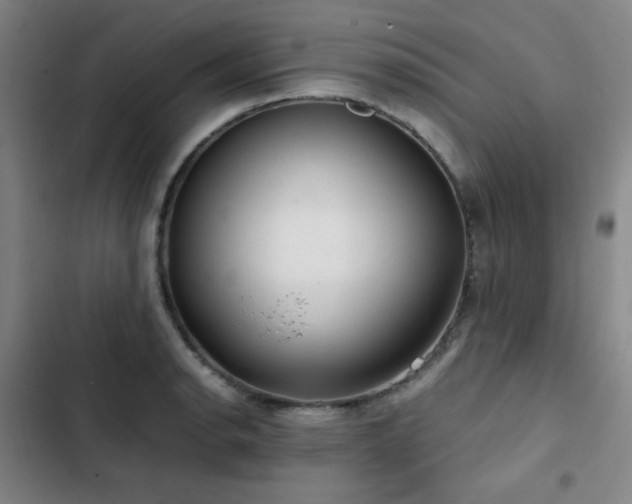 X0000103311134200808291422