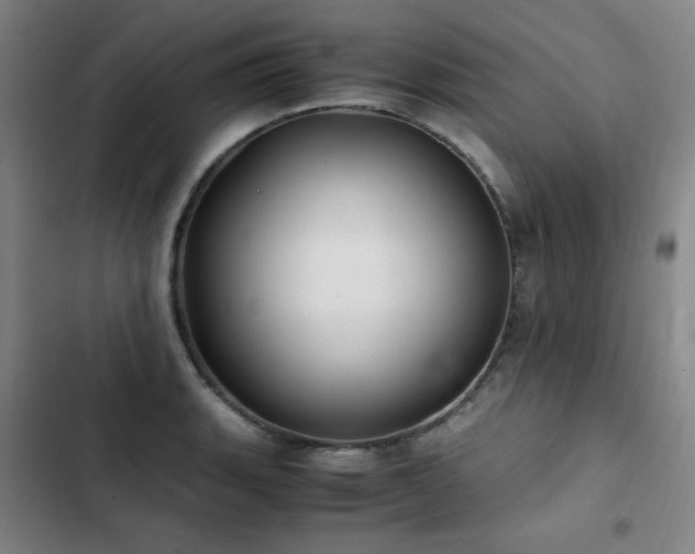 X0000103311135200808291422