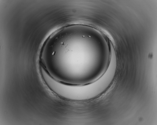 X0000103311138200808291422