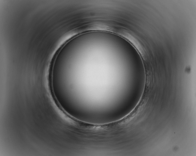 X0000103311139200808291422