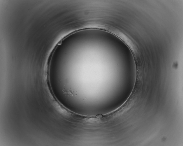 X0000103311140200808291422