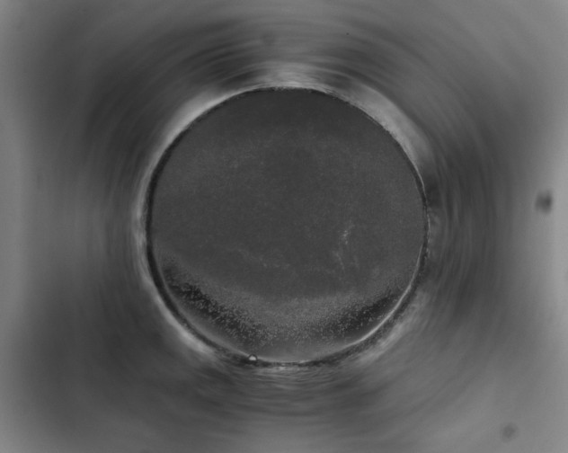 X0000103311141200808291422