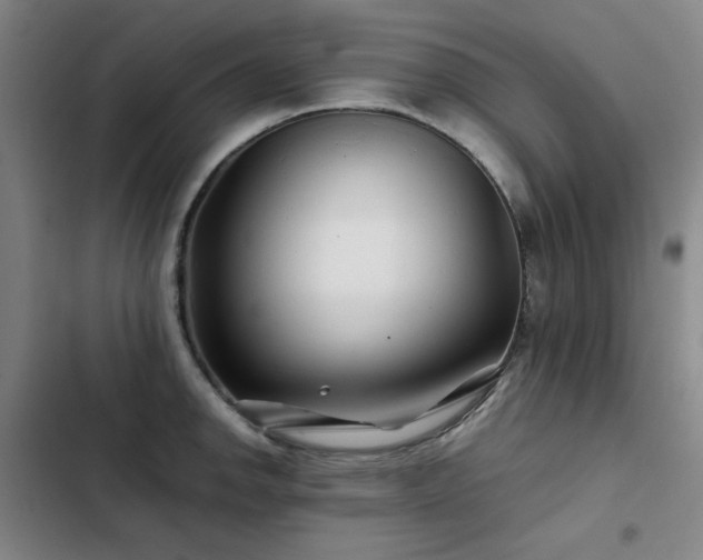 X0000103311142200808291422