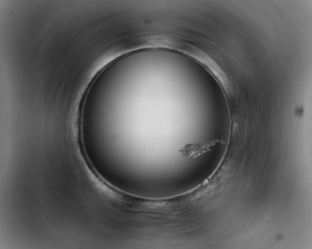 X0000103311143200808291422