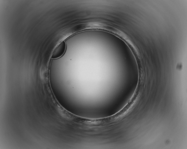 X0000103311145200808291423