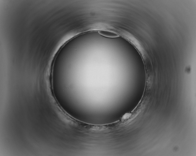 X0000103311146200808291423