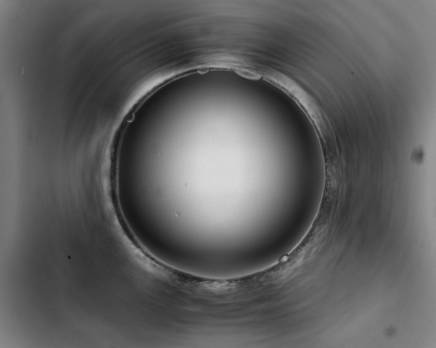 X0000103311147200808291423