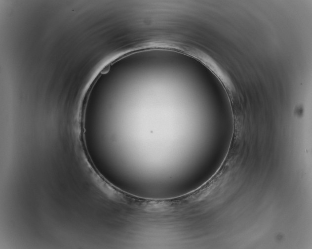 X0000103311148200808291423