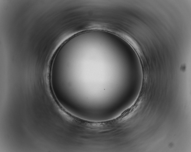 X0000103311149200808291423