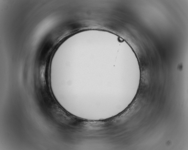 X0000103311150200808291423