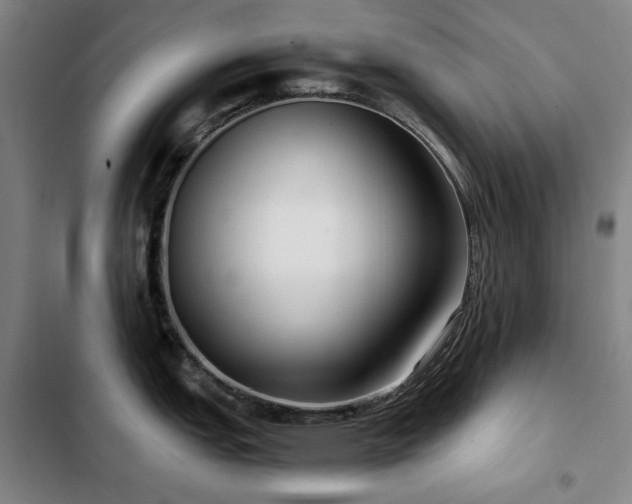 X0000103311151200808291423