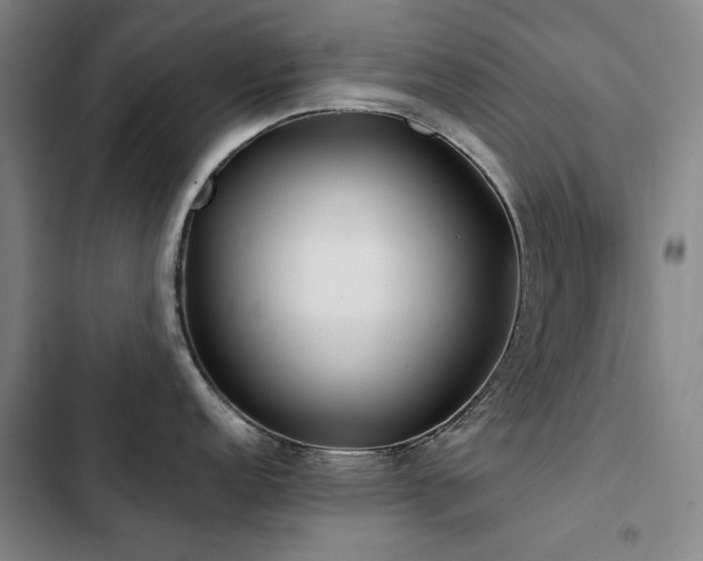 X0000103311152200808291423