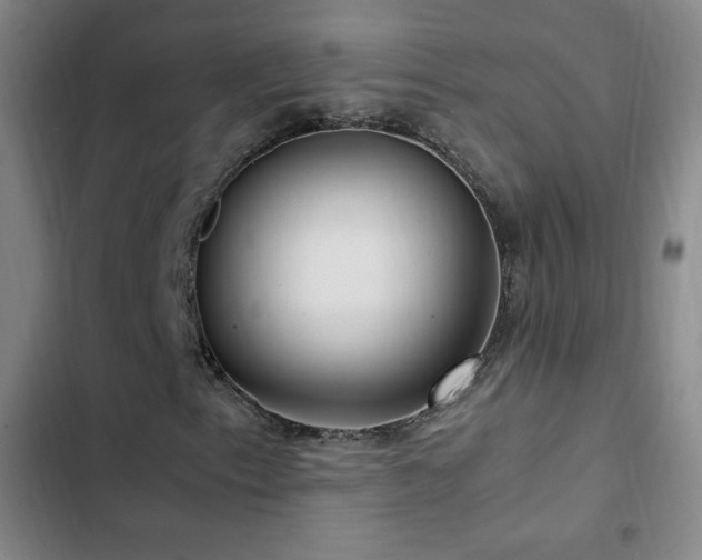 X0000103311153200808291422