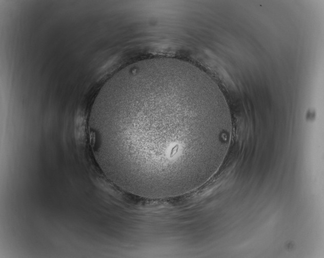 X0000103311154200808291422
