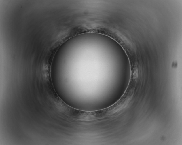 X0000103311156200808291422