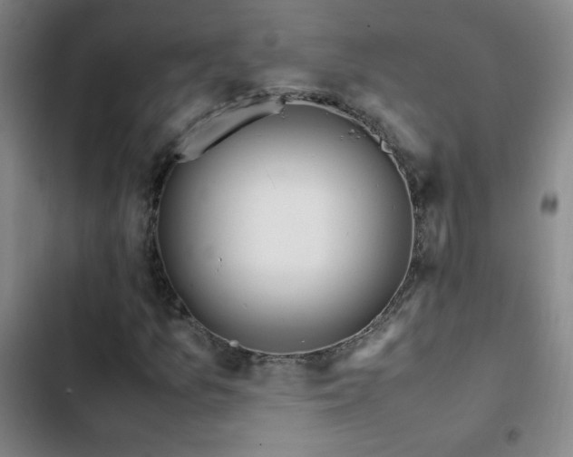 X0000103311157200808291422