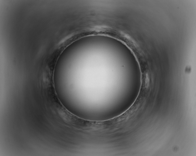 X0000103311158200808291422