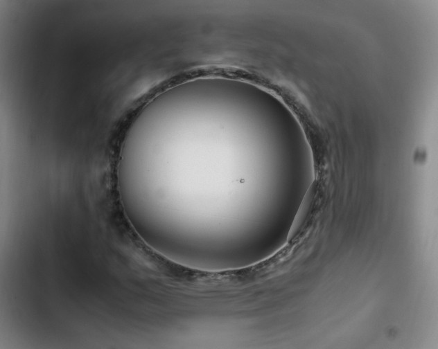 X0000103311159200808291422