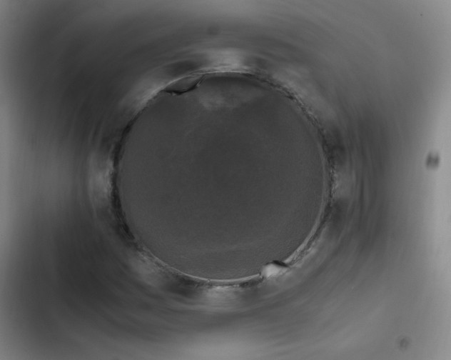 X0000103311161200808291422