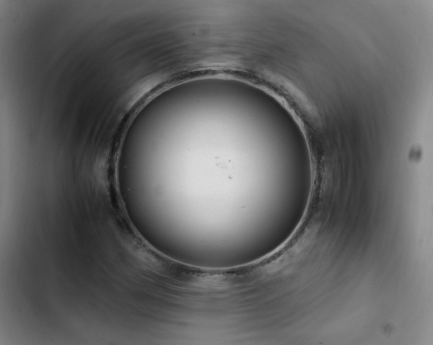 X0000103311162200808291422