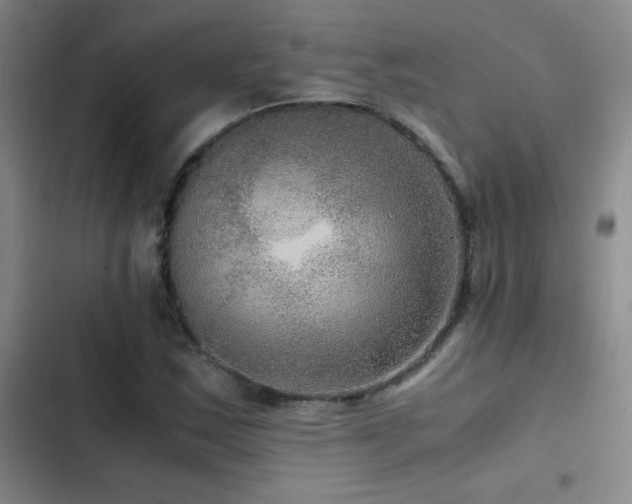 X0000103311163200808291422