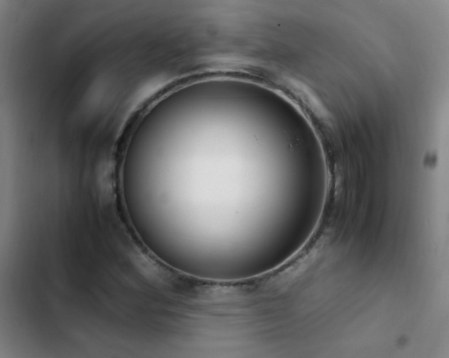 X0000103311164200808291422