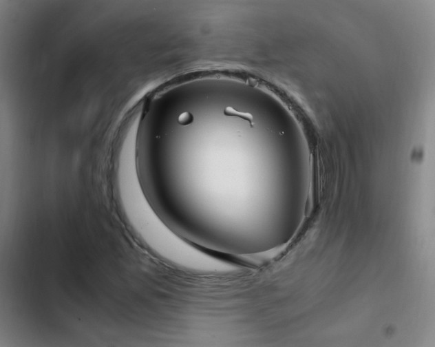 X0000103311165200808291422