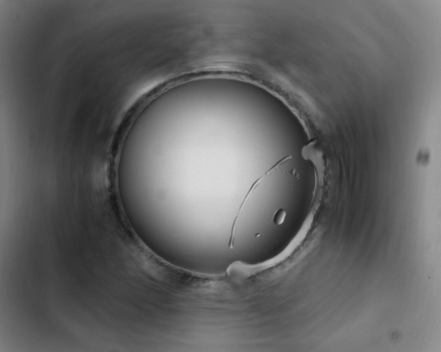 X0000103311166200808291422