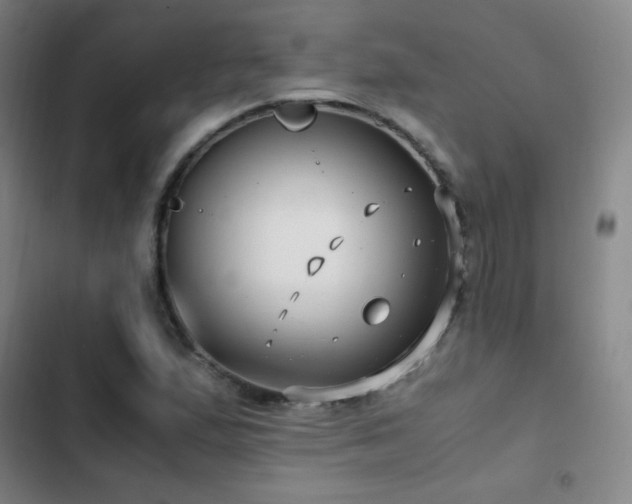 X0000103311167200808291422