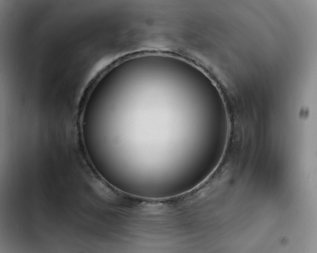 X0000103311168200808291422