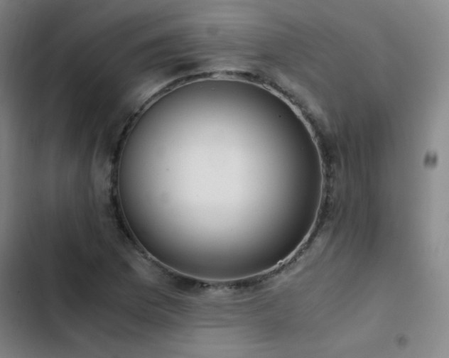 X0000103311169200808291422