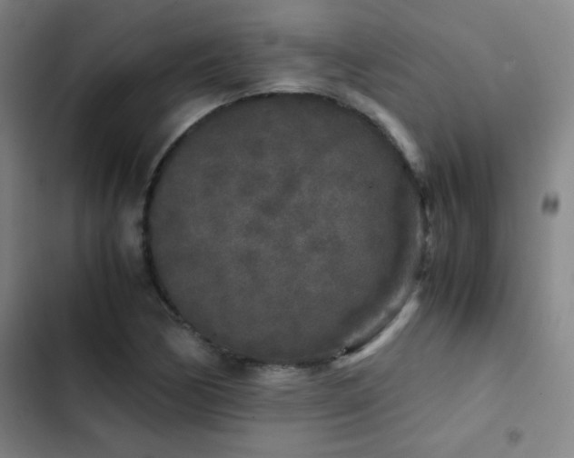 X0000103311170200808291422