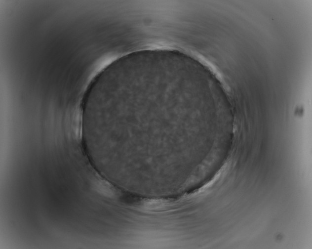 X0000103311171200808291422