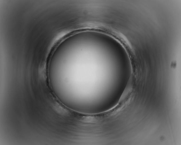 X0000103311172200808291422