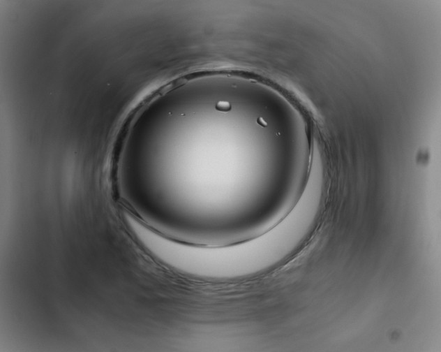 X0000103311173200808291422