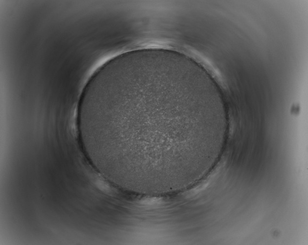 X0000103311174200808291422