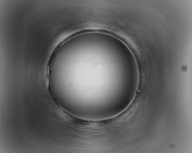 X0000103311175200808291421