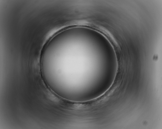 X0000103311176200808291421
