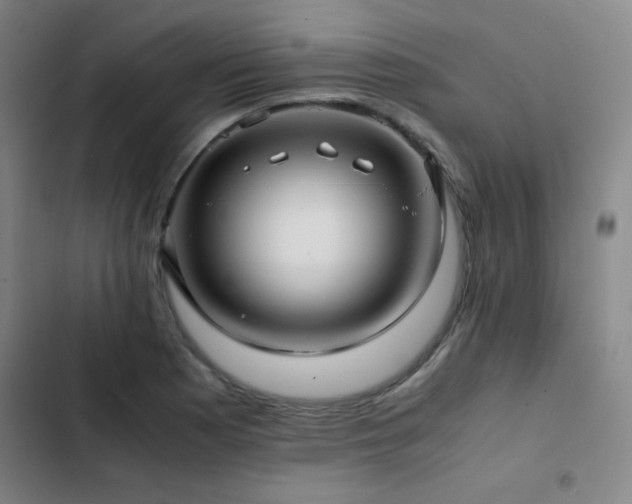 X0000103311177200808291421
