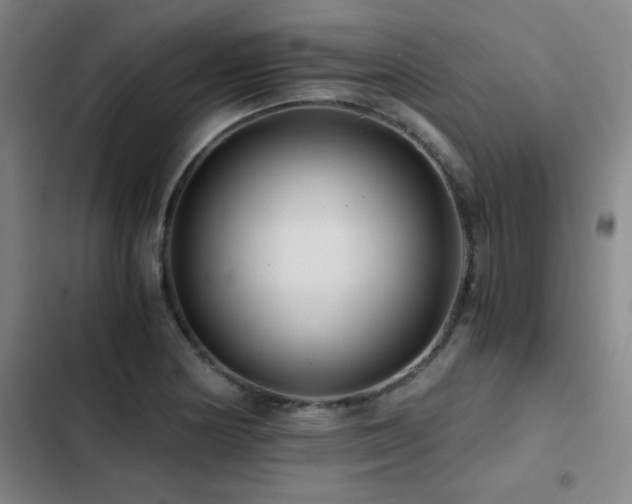 X0000103311178200808291421