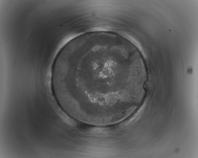 X0000103311179200808291421
