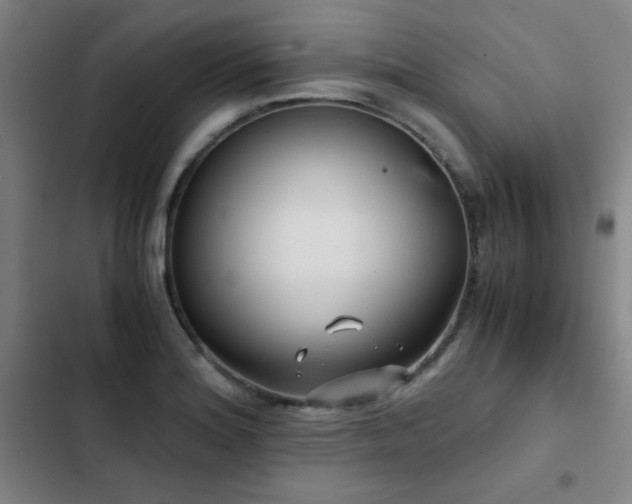 X0000103311180200808291421