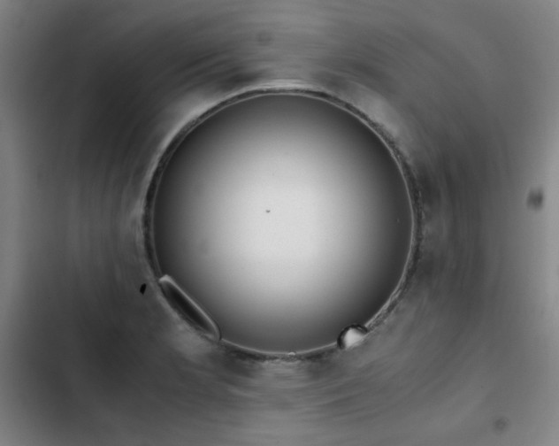 X0000103311181200808291421