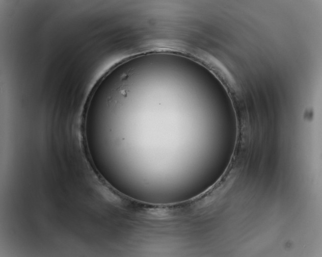 X0000103311182200808291421