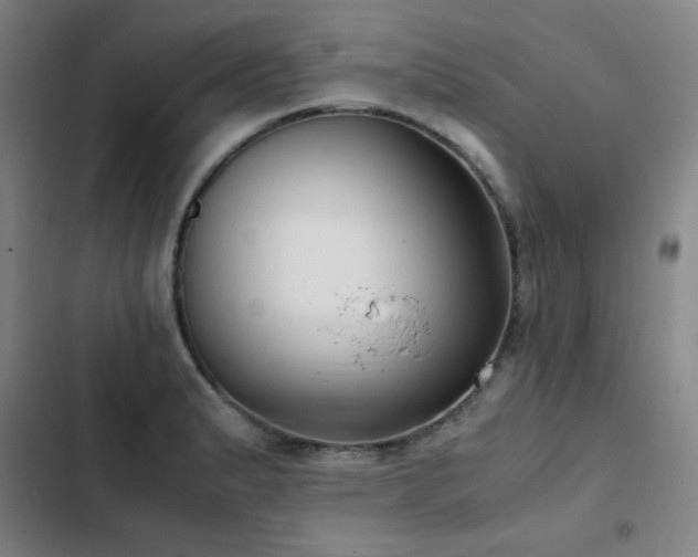 X0000103311183200808291421
