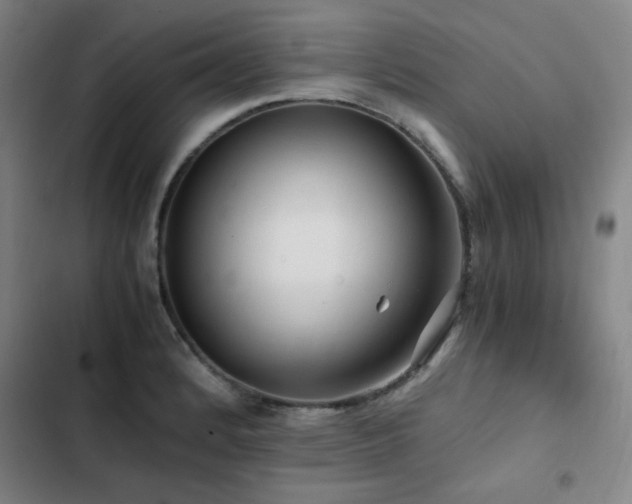 X0000103311184200808291421