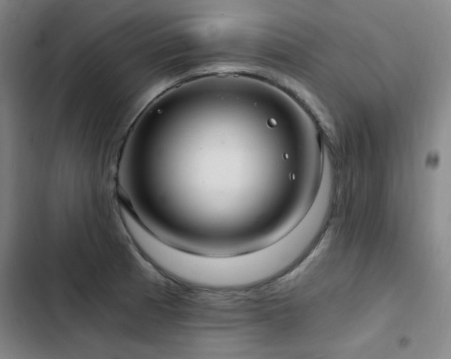 X0000103311185200808291421