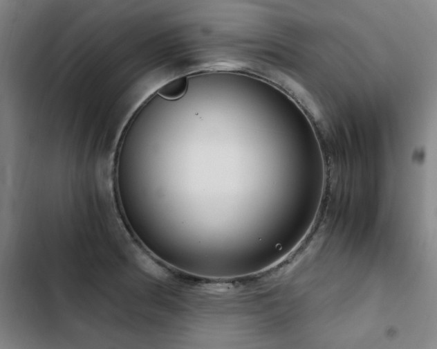 X0000103311186200808291421