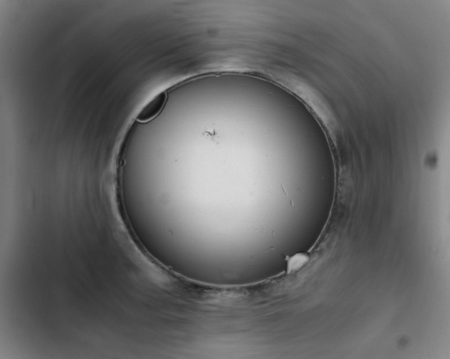 X0000103311187200808291421