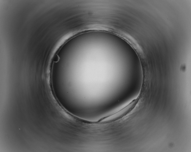 X0000103311188200808291421